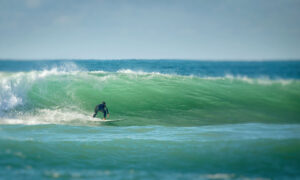 Surf